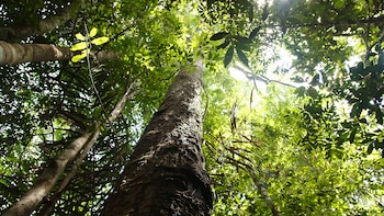 Más de 8.000 familias afrodescendientes,
