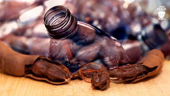 tamarindo unam bioplastico