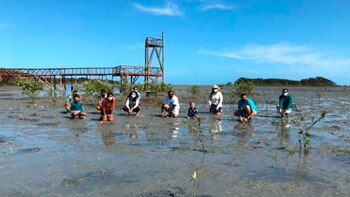 Restaurar para sanar: en Brasil