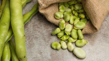 Las habas no contienen colesterol
