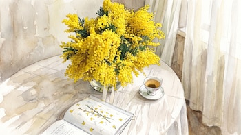 Mimosa: cómo cuidar el árbol de flores amarillas en maceta o jardines