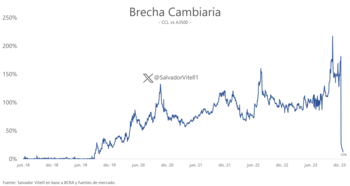 Fuente: Salvado Vitelli ("X": @SalvadorVitell1)