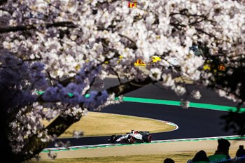 Imagen ODBGTL3PWJEFJMUWF2BVN7XM3I