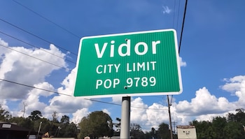 La demografía de Vidor revela