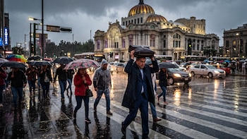 EN VIVO | Clima CDMX y resto de México hoy viernes 7 de agosto: saca el paraguas, se esperan lluvias fuertes en gran parte del país