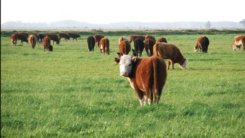 Si el clima lo permite