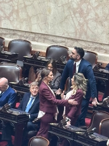 El look 2X1 de dos diputadas libertarias