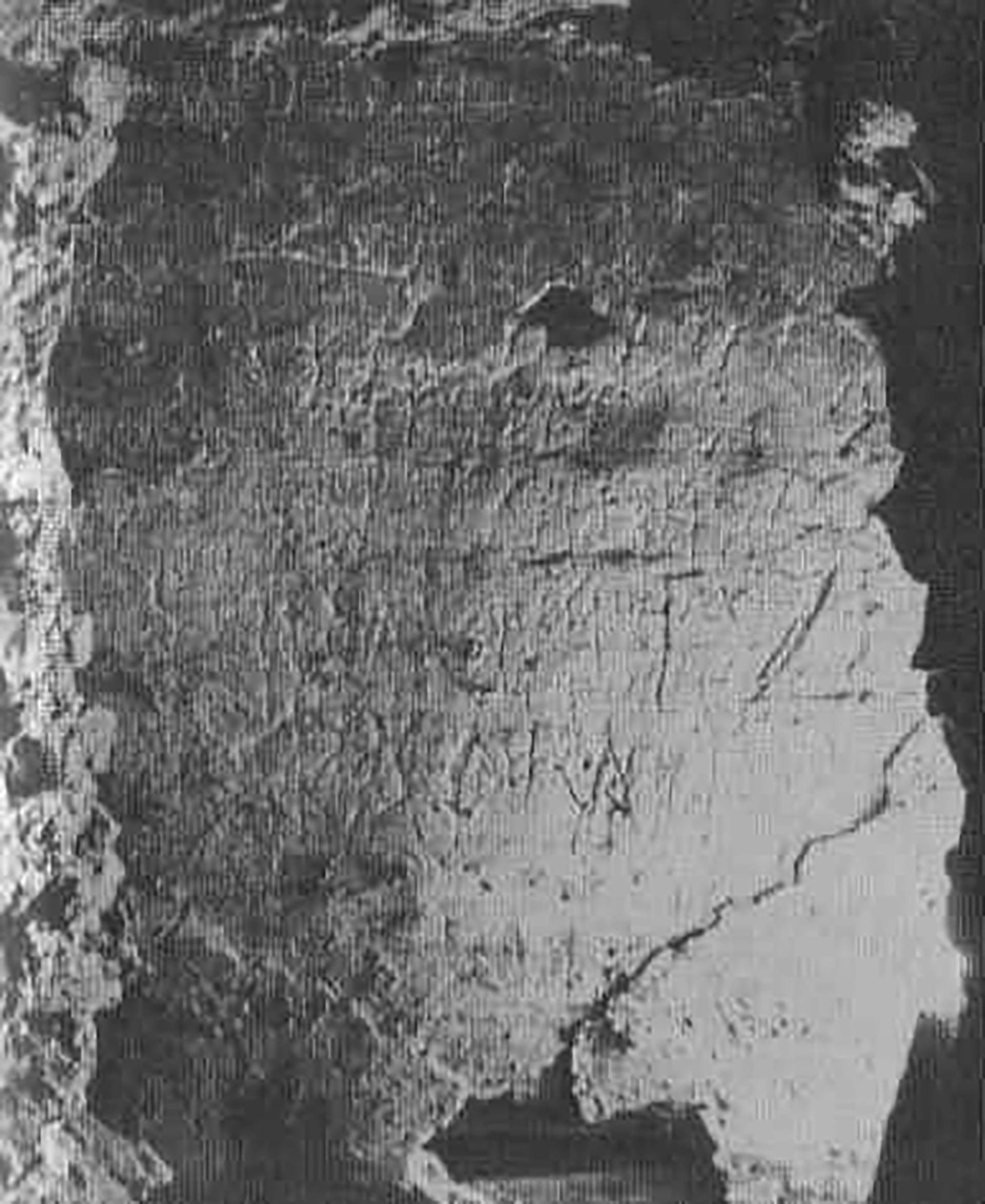 El grafitti que ubicó la tumba. En griego, dice “Cerca de Pedro” y “Pedro está aquí”