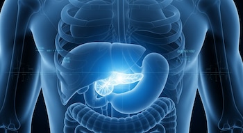 Más de 500 millones de