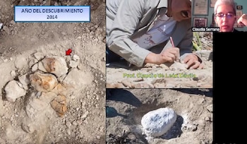 Imágenes del descubrimiento compartidas por