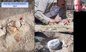 Imágenes del descubrimiento compartidas por