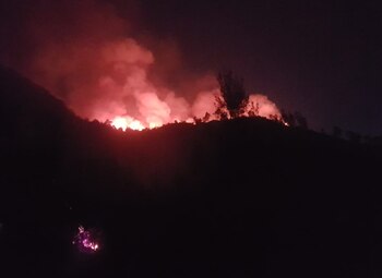 El fuego no representó ningún