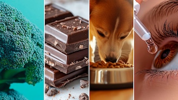 Estos alimentos y medicamentos fueron