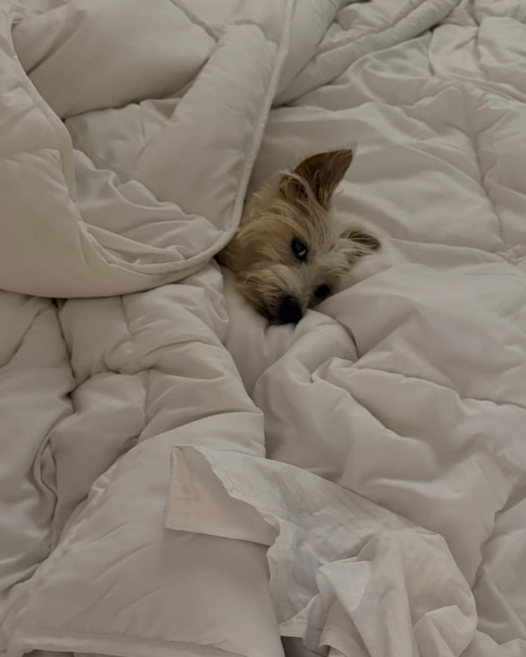 Coti Sorokin destacó en su mensaje la personalidad de Linda y el vínculo especial que construyó con la perrita