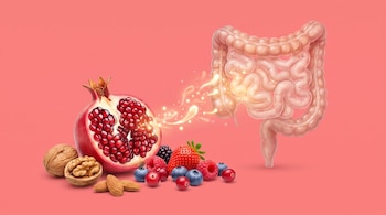 Una granada abierta, fresas, arándanos, frambuesas, moras, almendras, nueces y un intestino grueso y delgado sobre un fondo rosado.