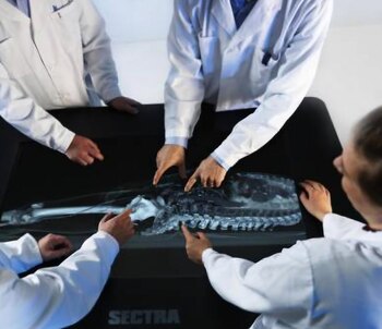 Virtopsia para autopsias