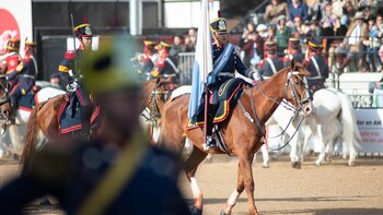 Pino y Milei fueron los