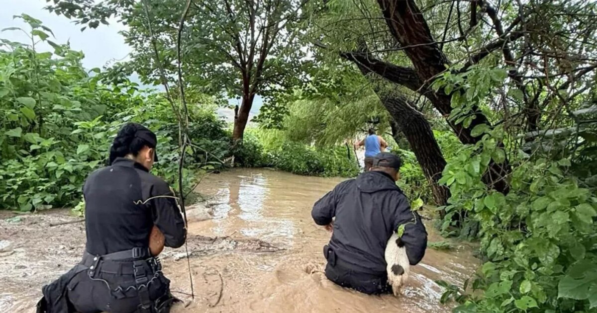 Salta Bajo Agua: El Temporal Que Devastó Familias y Rutas