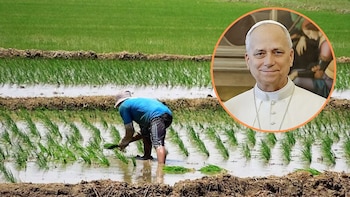 Durante la visita del papa León XIV al Perú: Arroceros en Ucayali evalúan irse a paro