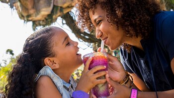 Pongu Pongu es un bar