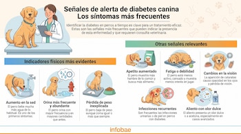 Infografía con veterinaria y perro, ilustraciones de perros bebiendo, orinando, en báscula, comiendo, durmiendo, con ojos opacos, rascándose, y con aliento dulce.