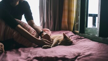 ¿Es sano dormir con un