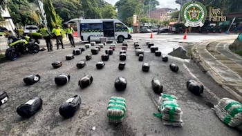 La Policía incautó 450 kilos de marihuana tipo creepy en Antioquia: dos personas fueron capturadas