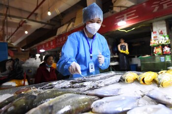Revisiones en un mercado de Guiyang, en la provincia de Guizhou (Reuters)