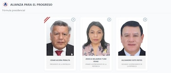 Lista de vicepresidentes en Perú 2026: estos son los acompañantes de cada candidato: Captura: ONPE.