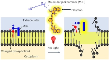 El concepto de un MJH y su mecanismo de funcionamiento (Nature Chemistry)