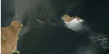 Socotra destaca como una de las islas con mayor biodiversidad del planeta gracias a su aislamiento y evolución exclusiva (Wikimedia Commons)