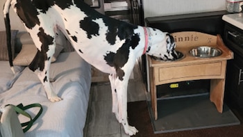 El nombre de Minnie sorprende