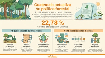 Infografía con árboles, un documento legal, un mapa de Guatemala y gráficos que muestran la política forestal y su cobertura de 22,78 %.