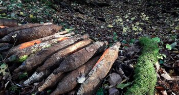 Seis obuses de la Segunda