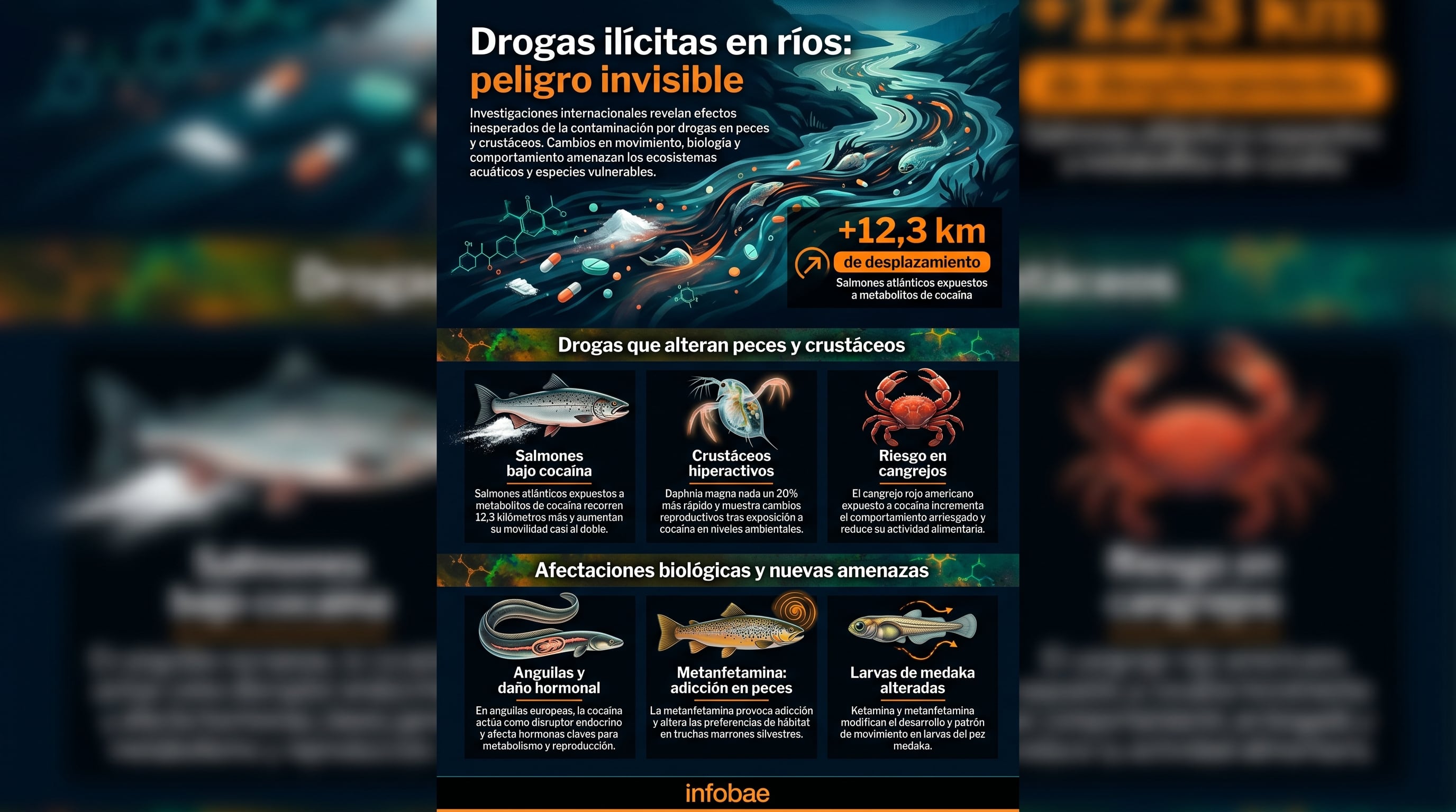 Investigaciones internacionales demuestran que drogas ilícitas como la cocaína y metanfetamina alteran drásticamente el comportamiento y la biología de especies acuáticas, amenazando ecosistemas fluviales. (Imagen Ilustrativa Infobae)