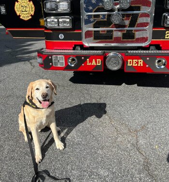 No sólo dedicó su vida