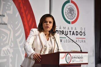 La diputada negó interés en