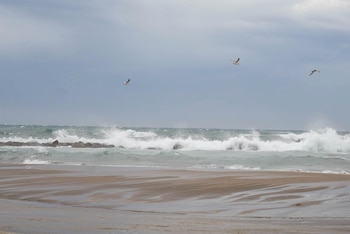 Imagen OEYG6B5HJZF5RG6KRMJ35JAWZE