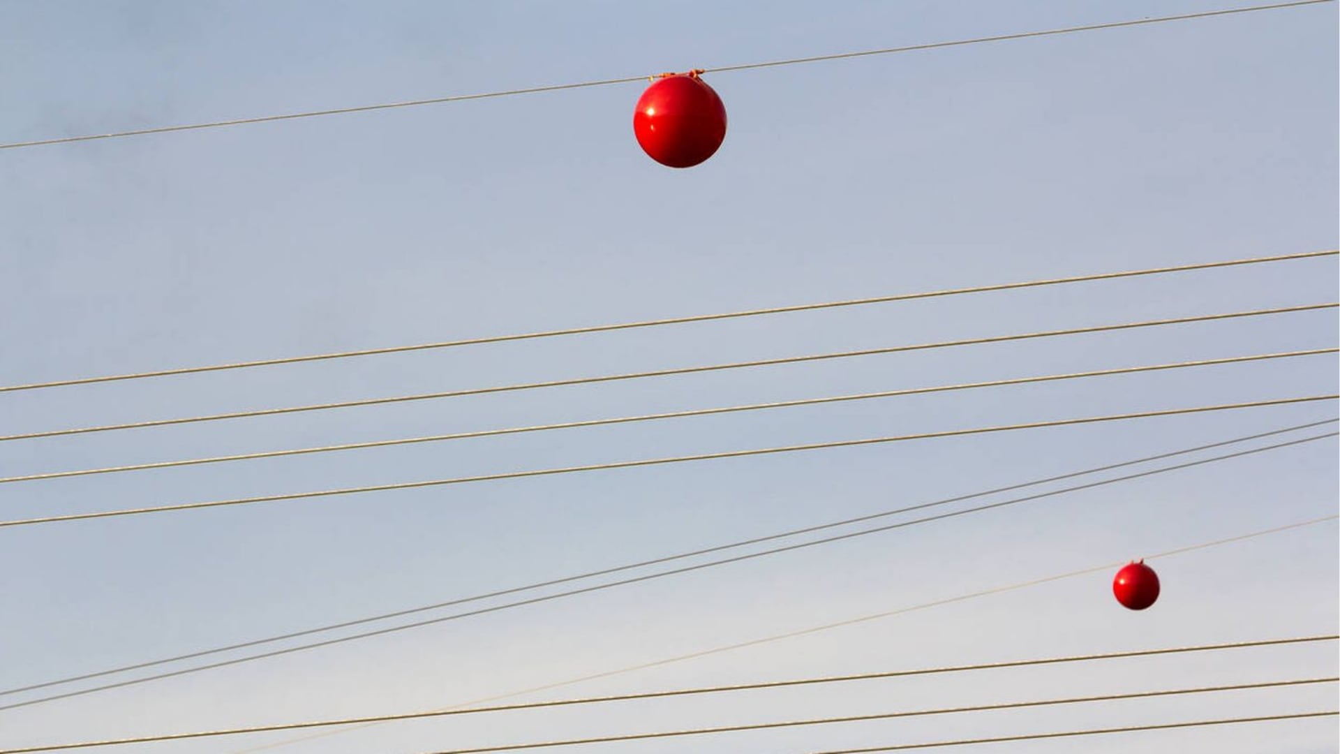 Las esferas en cables eléctricos que ayudan a prevenir choques de aviones y proteger aves. (Foto: Difusión)