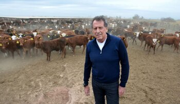 El empresario en su campo