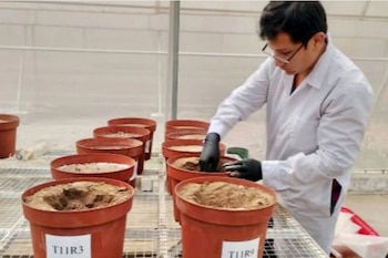 Un investigador con bata blanca y guantes negros trabaja con macetas de tierra en un invernadero, preparando un experimento agrícola