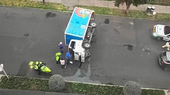 Furgón que transportaba mascotas chocó con una ruta escolar en el norte de Bogotá: al menos una docena de perros habrían sido afectados