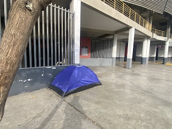 Fans de Bad Bunny ya