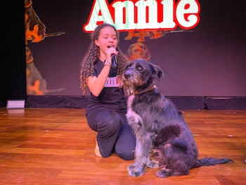 Barrabás, perro rescatado pasó el casting y participará en el musical Annie en Surco