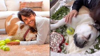 Entre lágrimas y con muchas