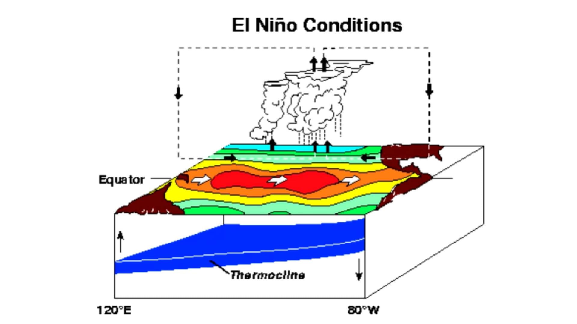 Un diagrama ilustra las condiciones oceánicas y atmosféricas que caracterizan el fenómeno El Niño en el Pacífico ecuatorial, con el desplazamiento de la termoclina, las corrientes marinas y la circulación atmosférica (NOAA)