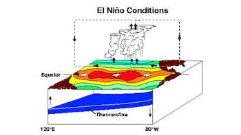 Diagrama del Pacífico ecuatorial con texto El Niño Conditions. Muestra sección de océano, termoclina, capas de color, nubes y flechas de circulación