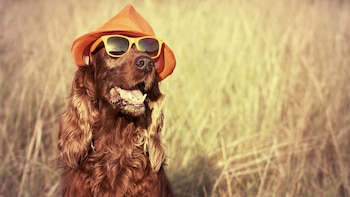 Evitar la exposición solar entre