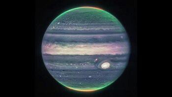 Impresionantes imágenes del planeta Júpiter, que muestran dos lunas diminutas, anillos tenues y auroras en los polos norte y sur, fueron tomadas por el telescopio espacial James Webb de la NASA (AFP)