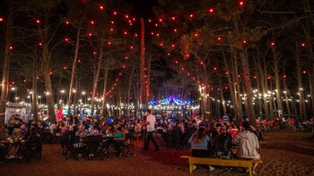 Food trucks nocturnos: una propuesta